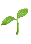 Naturally Sustainable